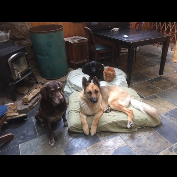 Meet your Posher, KP.  Posh Ambassador - Picture 4 of 9